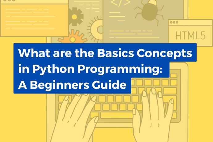 What are the Basics Concepts in Python Programming?