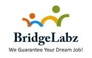 Bridgelabz